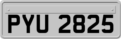 PYU2825