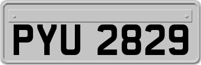 PYU2829