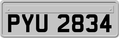 PYU2834