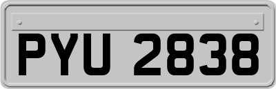 PYU2838