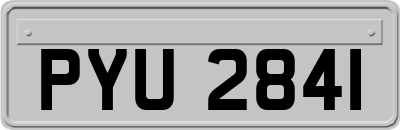 PYU2841