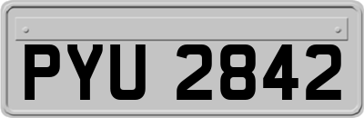 PYU2842