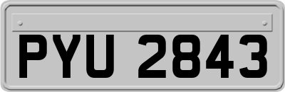 PYU2843