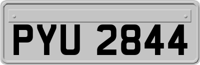 PYU2844