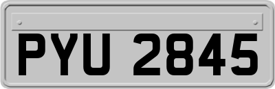 PYU2845