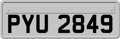 PYU2849