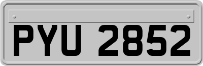 PYU2852