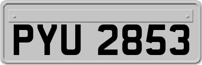 PYU2853