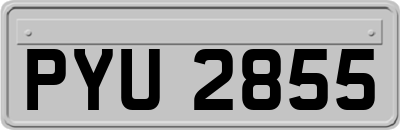 PYU2855