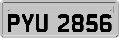 PYU2856