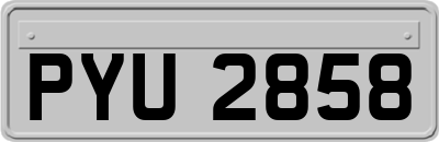 PYU2858