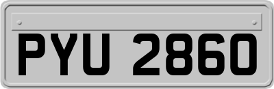 PYU2860