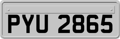 PYU2865