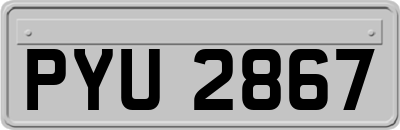 PYU2867