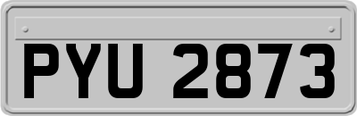 PYU2873