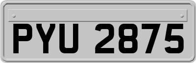 PYU2875