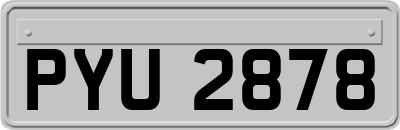 PYU2878