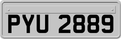 PYU2889