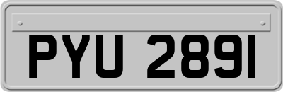 PYU2891