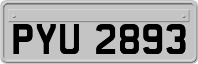 PYU2893