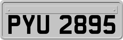 PYU2895