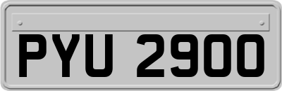 PYU2900