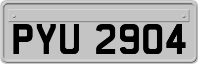 PYU2904