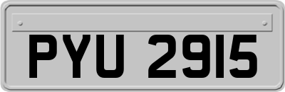 PYU2915