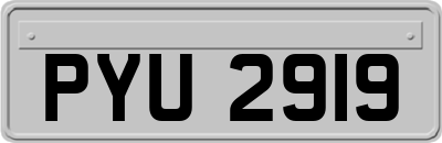 PYU2919