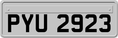 PYU2923