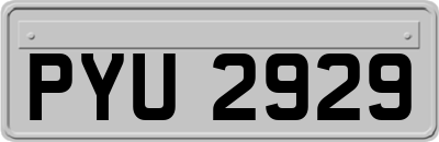 PYU2929