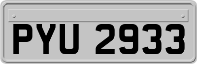 PYU2933