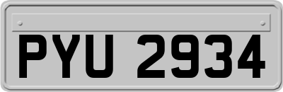 PYU2934