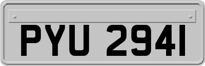 PYU2941