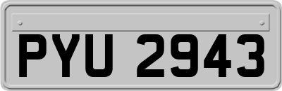 PYU2943