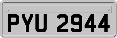 PYU2944