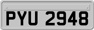 PYU2948