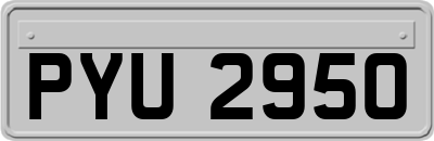 PYU2950