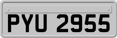 PYU2955