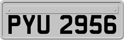 PYU2956