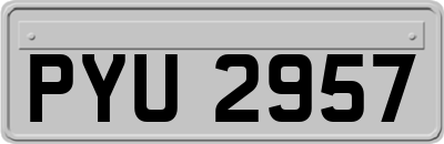 PYU2957