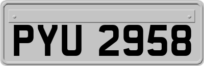 PYU2958