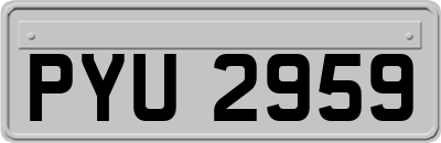 PYU2959