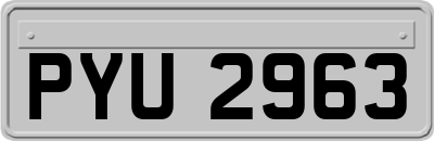 PYU2963