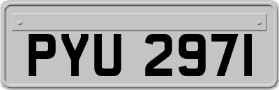 PYU2971