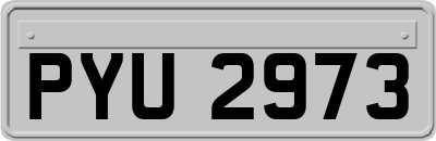 PYU2973