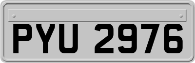 PYU2976