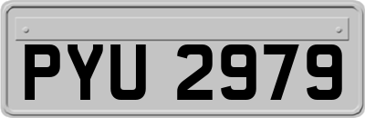 PYU2979