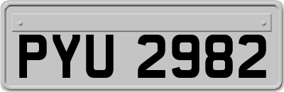 PYU2982