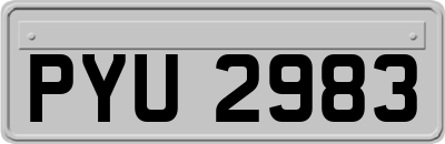 PYU2983